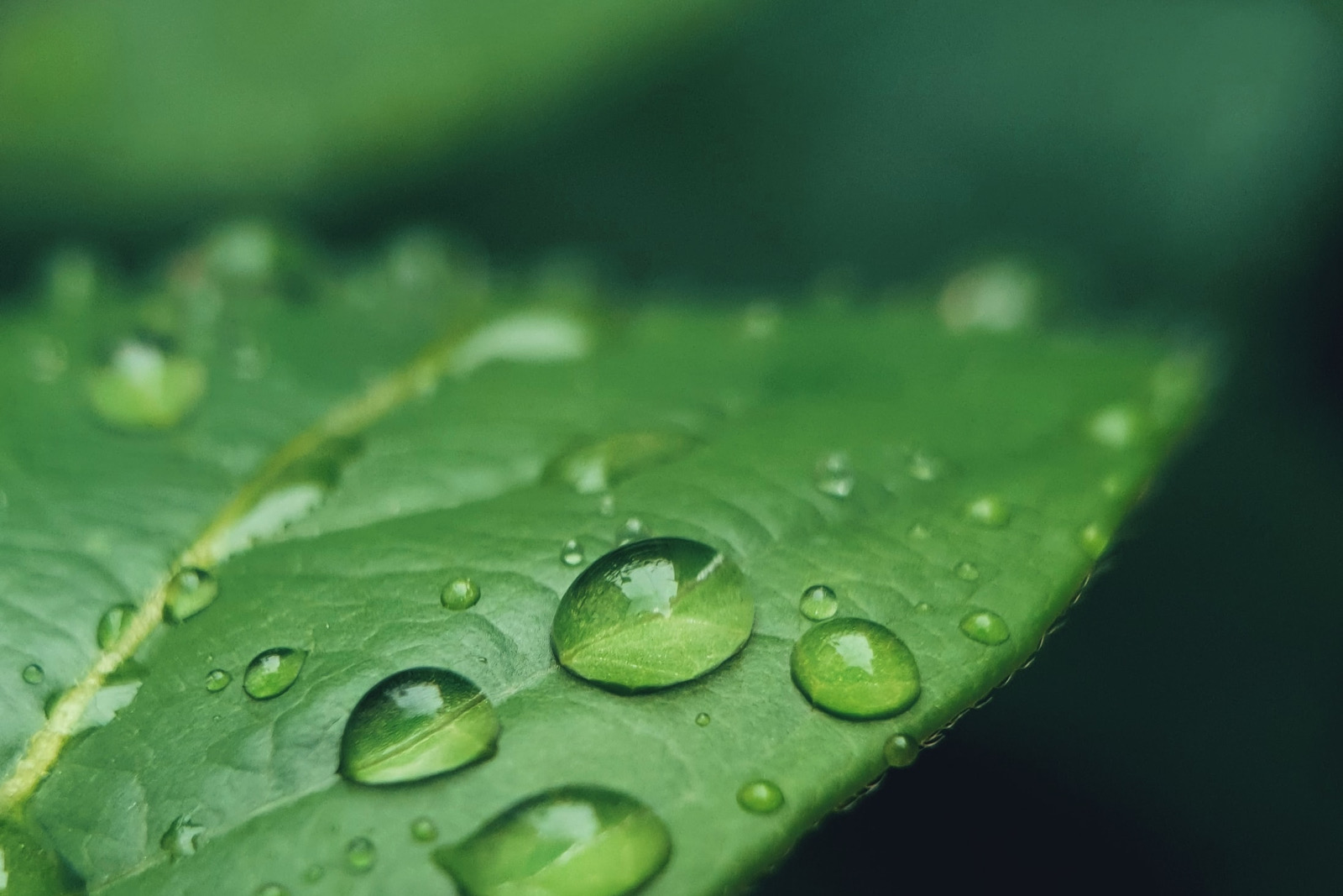 Never Wasted, Always Used